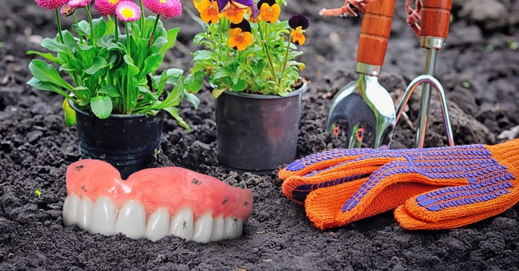 loose dentures in a garden